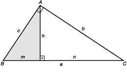 indique qual é o cateto oposto ao ângulo de 30 graus e a hipotenusa e  calcule a medida x do triângulo 